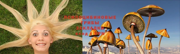 сатива Нязепетровск