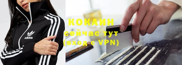 сатива Нязепетровск