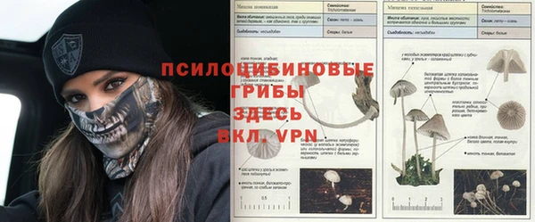 амфетамин Алзамай