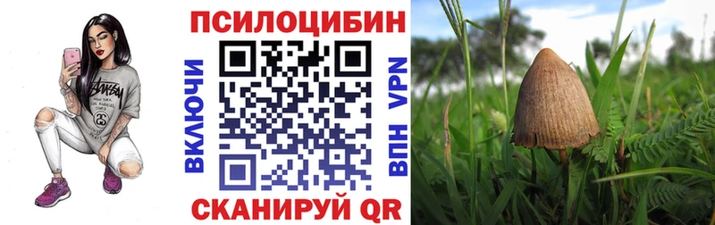 Псилоцибиновые грибы мицелий  гидра зеркало  Долинск  закладки 